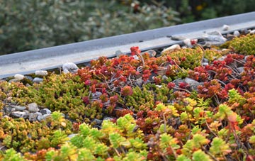 the cost of Thornend green roof installation