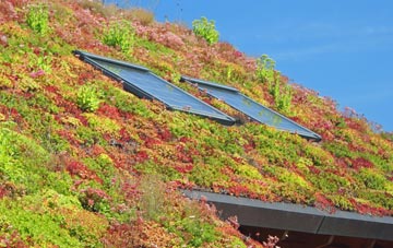 Thornend living roof systems