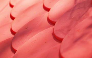 Thornend plastic roof costs