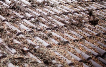 Thornend roof cleaning companies