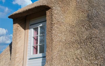 Thornend thatch roof disadvantages