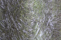 Thornend fibreglass roof work